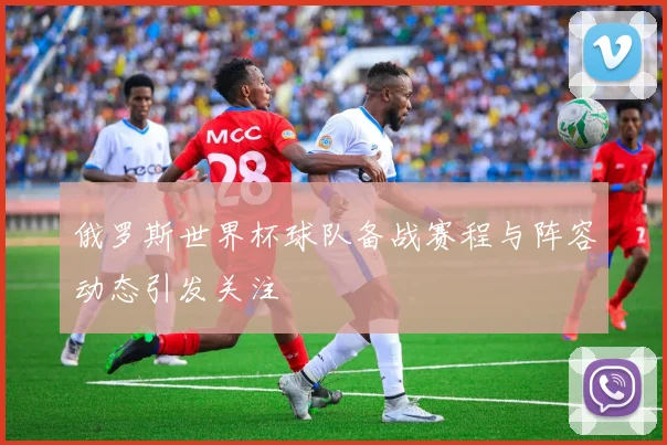 俄罗斯世界杯球队备战赛程与阵容动态引发关注