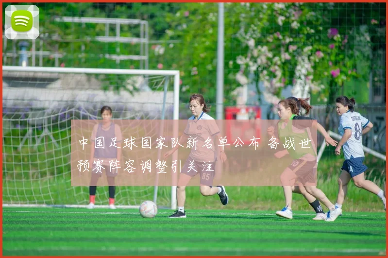 中国足球国家队新名单公布 备战世预赛阵容调整引关注